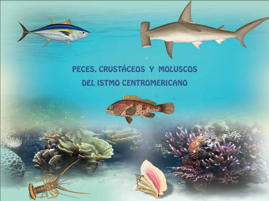 Peces crustaceos y moluscos del istmo centroamericano